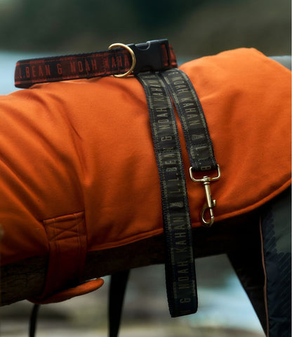 L.L.Bean & Noah Kahan Novelty Dog Leash | L.L.Bean Everyday
