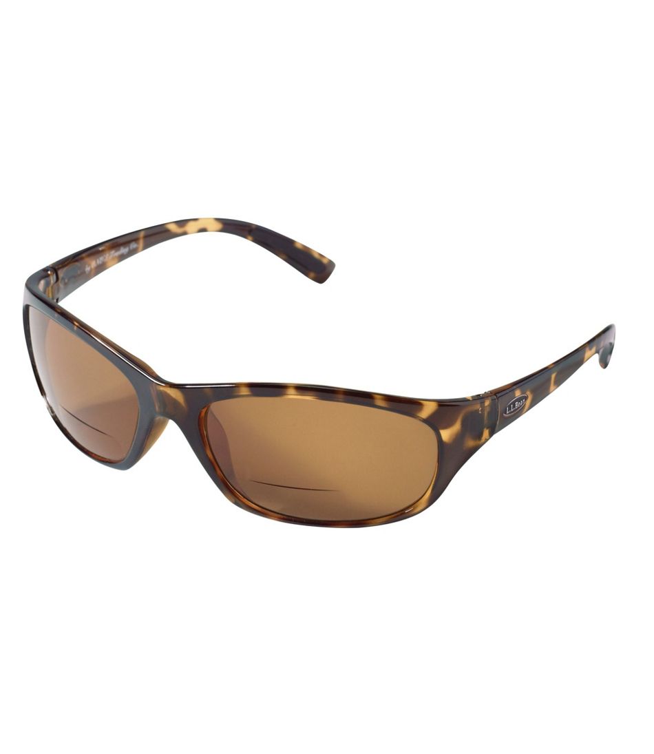 Polarized Performance Bifocals, Large | L.L.Bean Popular