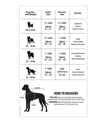 Personalized Pet Collar, Reflective | L.L.Bean Great Value