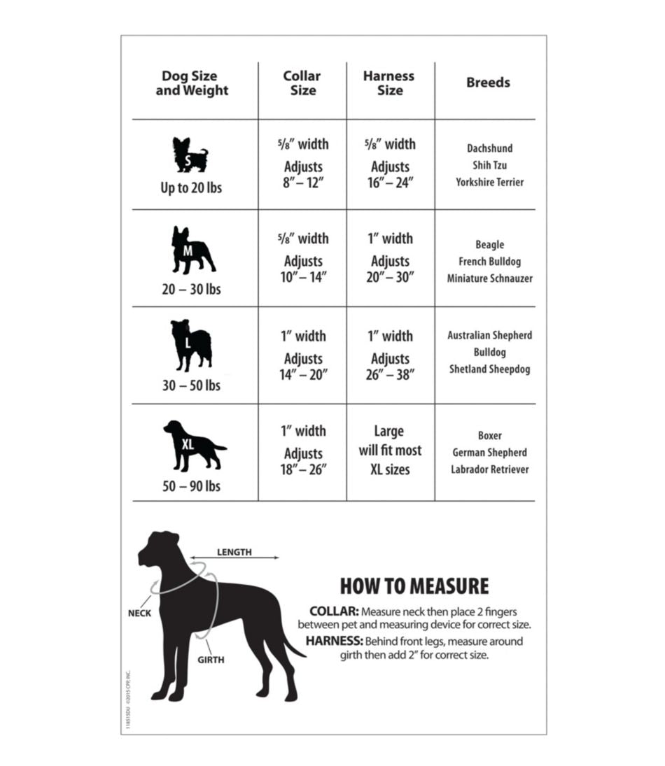 Personalized Pet Collar | L.L.Bean Exclusive